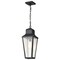 Nuvo Lawrence - 1 Light Hanging Lantern - Matte Black with Clear Seeded Glass 60/8135 - alternate 4